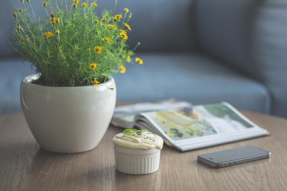 Glazed Ceramic Planter