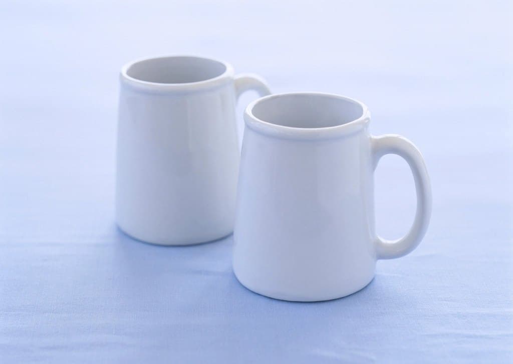 Porcelain Mug Pair